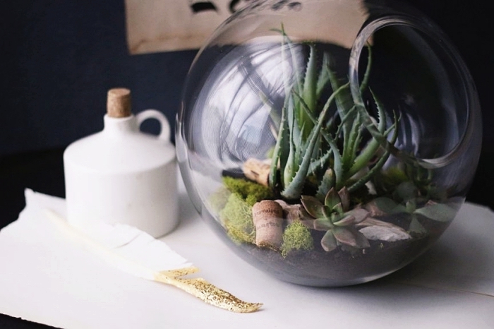 modèle de plante en bocal sur couche de terreau et mousse, faire un mini jardin dans contenant en verre avec mini plantes