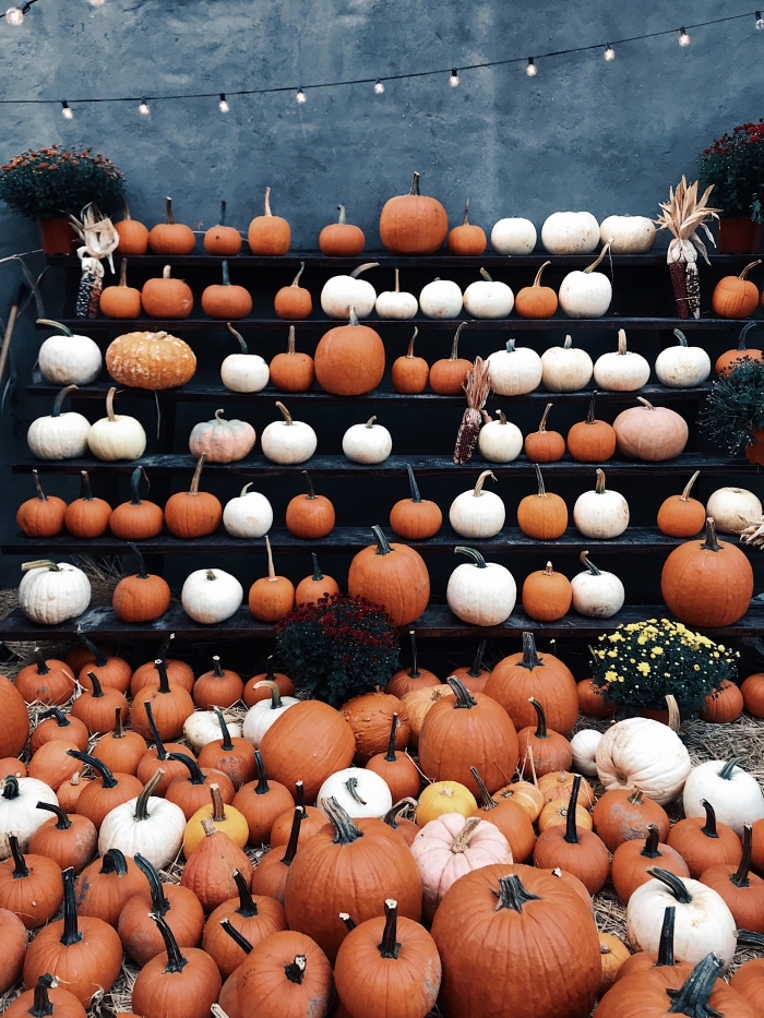 symboles-hallowee-sculptures-de-citrouilles-jack-o-lanterne-fond-d-écran-automne-guirlande-lumineuse-fleurs décoration DIY pour la fête de Halloween avec citrouilles orange et blanches, idée photo halloween pour portable
