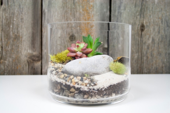 réaliser un terrarium plante bocal facile, activité manuelle facile et rapide, modèle terrarium avec plantes artificielles
