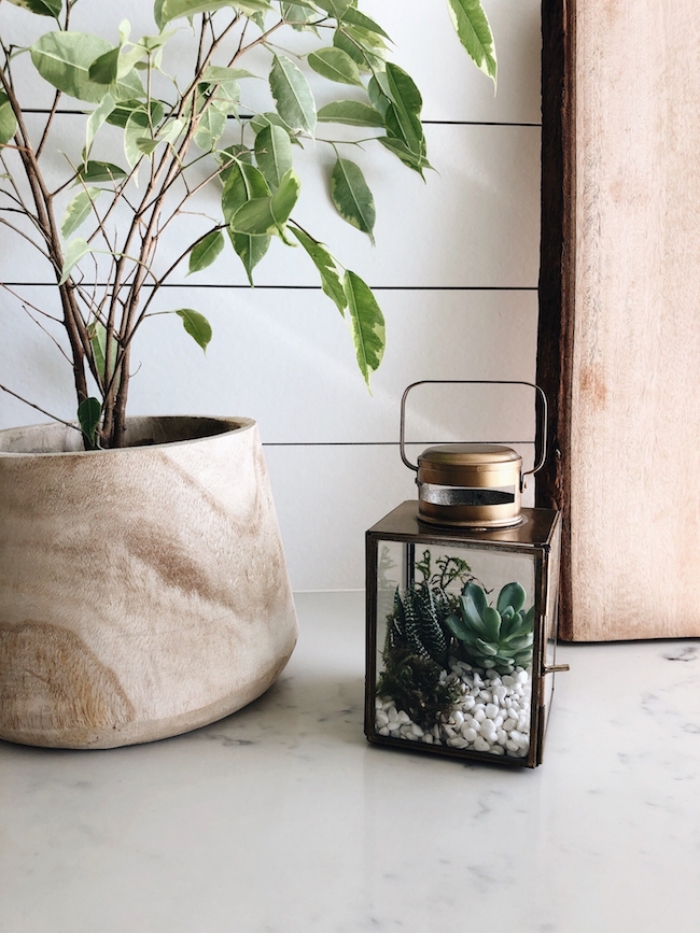 objets de décoration à faire soi-même, diy plante en bocal fermé en forme de lanterne, modèle mini jardin avec galets