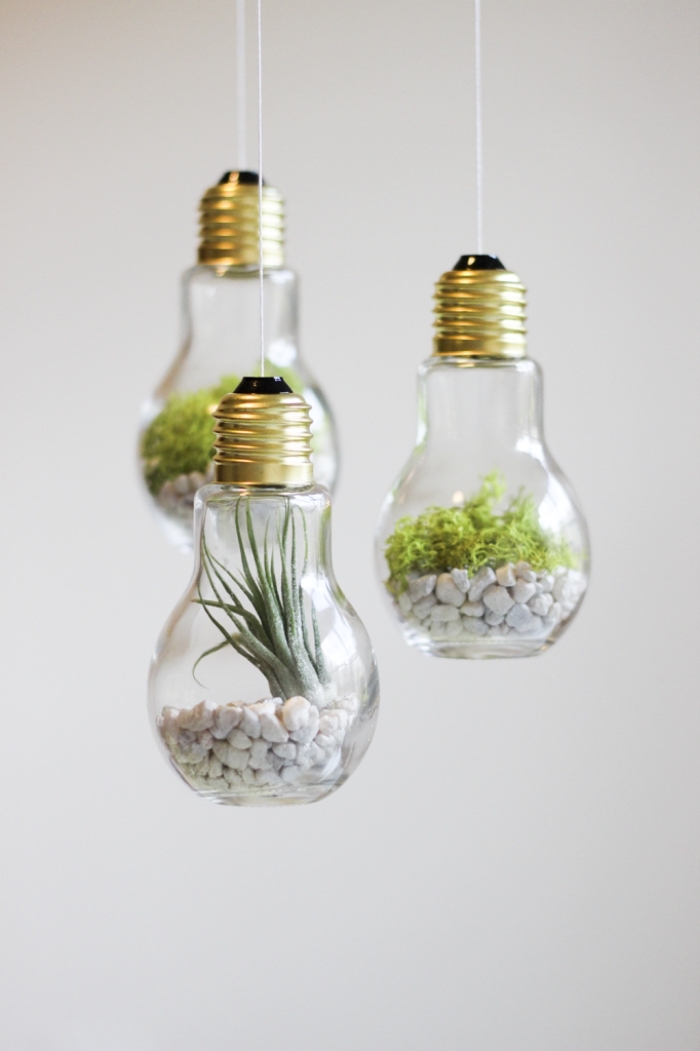 que faire avec des ampoules électriques, modèle de terrarium plante dans ampoule, remplissage ampoule cailloux et plantes