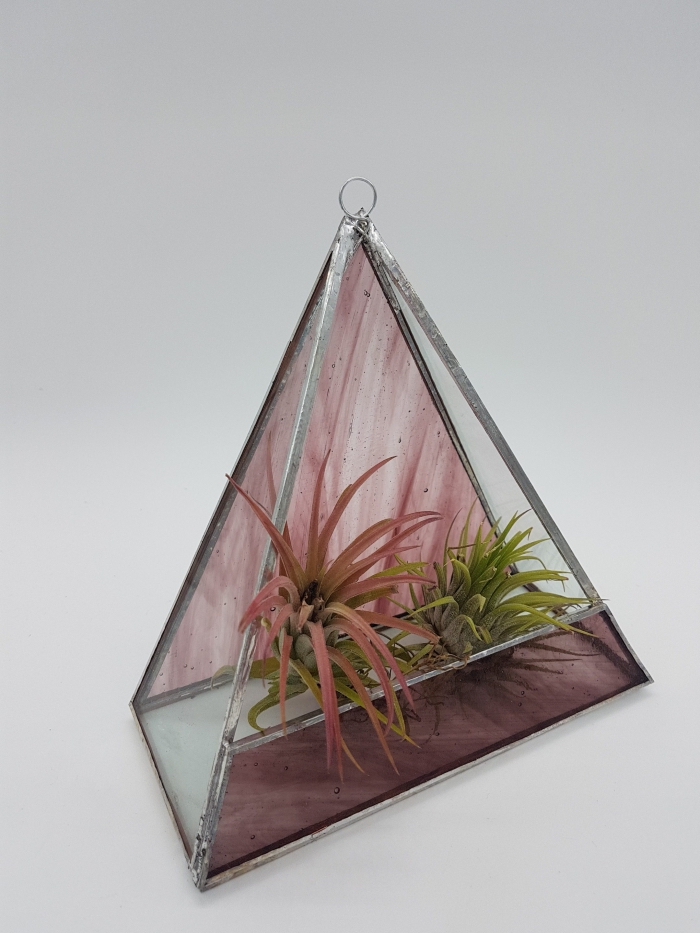 bricolage terrarium facile, modèle de terrarium fait maison dans un contenant ouvert en verre peint rose et métal