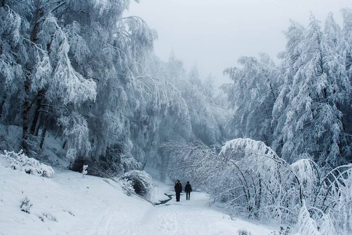 silhouettes de deux personnes sur un chemin de montagne entre arbres surchargées de neige, foret hivernal