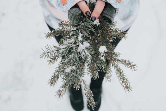 branche de sapin saupoudrées de neige dans les mains d une fille, manucure noire, image hiver créative