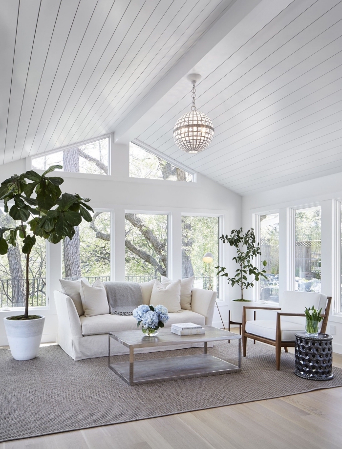 idée de deco salon cosy dans une pièce blanche avec plancher bois clair et accents gris clair, modèle de plafond à deux pentes