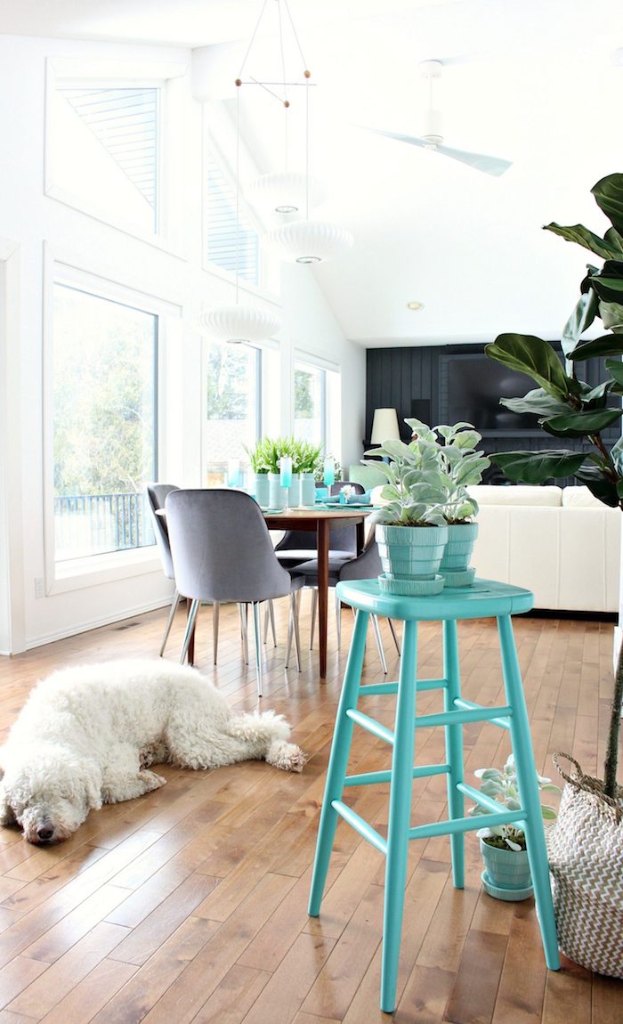 Chien adorable blanche, chaise haute aigue-marine, relooker meuble ancien en moderne, customiser meuble peinture coloré, cuisine et salon en un