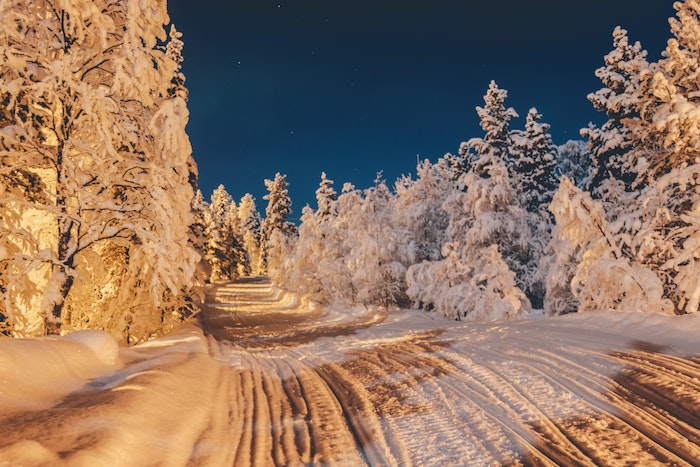 paysage nocturne alpestre, fond écran foret avec chemin bordé d arbres aux branches chargées de neige, ciel bleu foncé