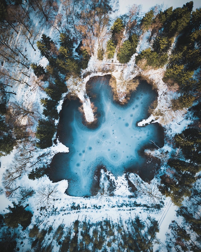 lac aux eaux glacées au milieu d un foret aux arbres sapins et pins, idee de paysage à couper le souffle