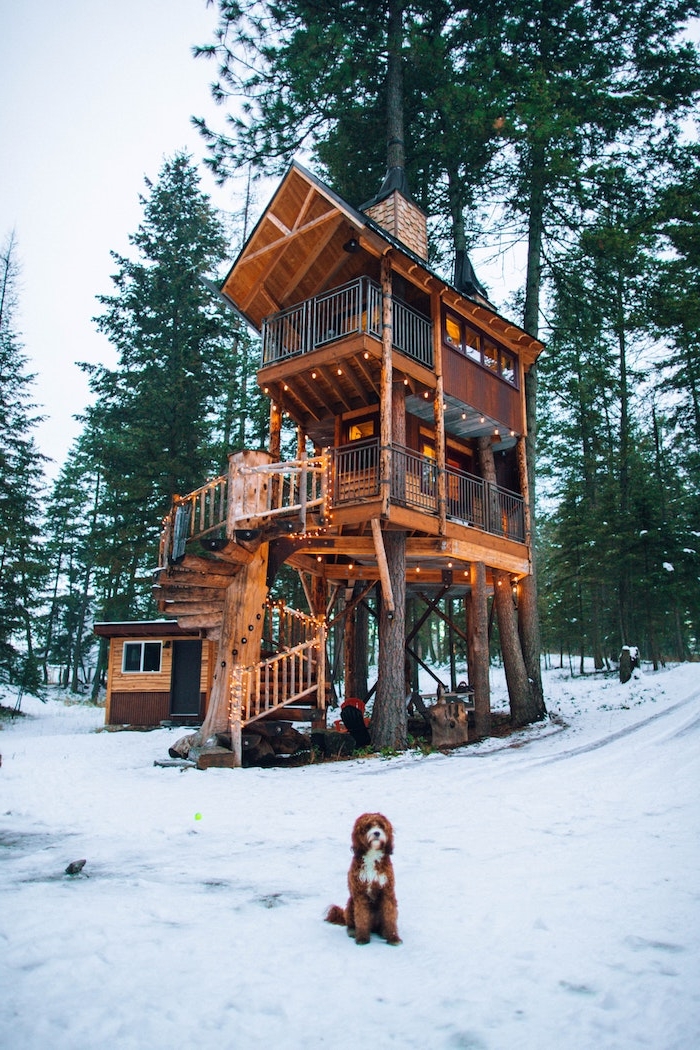 maison dans les arbres à plusieurs étages avec escalier tournant, decio chalet de montagne exterieure, sapins et chien sur la neige