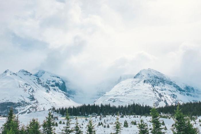 beau paysage de montagne =, paysage alpestre enneigé avec plusieurs sapins verts et ciel gris et blanc
