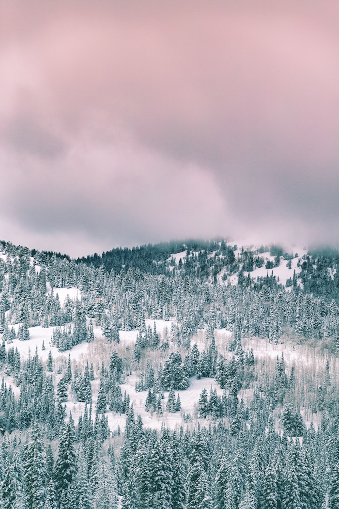 image de montagne enneigée, colline avec neige et ciel gris, image pour votre fond d ecran hivernal