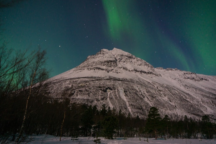 paysage polaire d aurore polaire, cile reflets bleu et vert derrière une montagne enneigée, silhouettes d arbres, joli paysage nocturne
