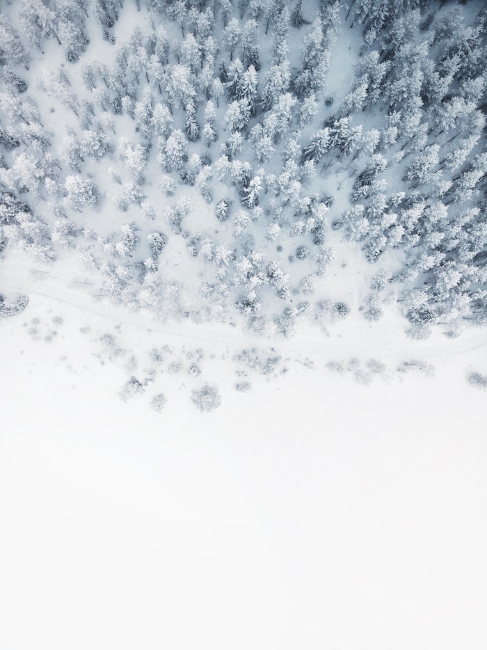 belle vue d en haut, beau fond d ecran avec neige et des arbres couverts de neige, image montagne et foret de sapins