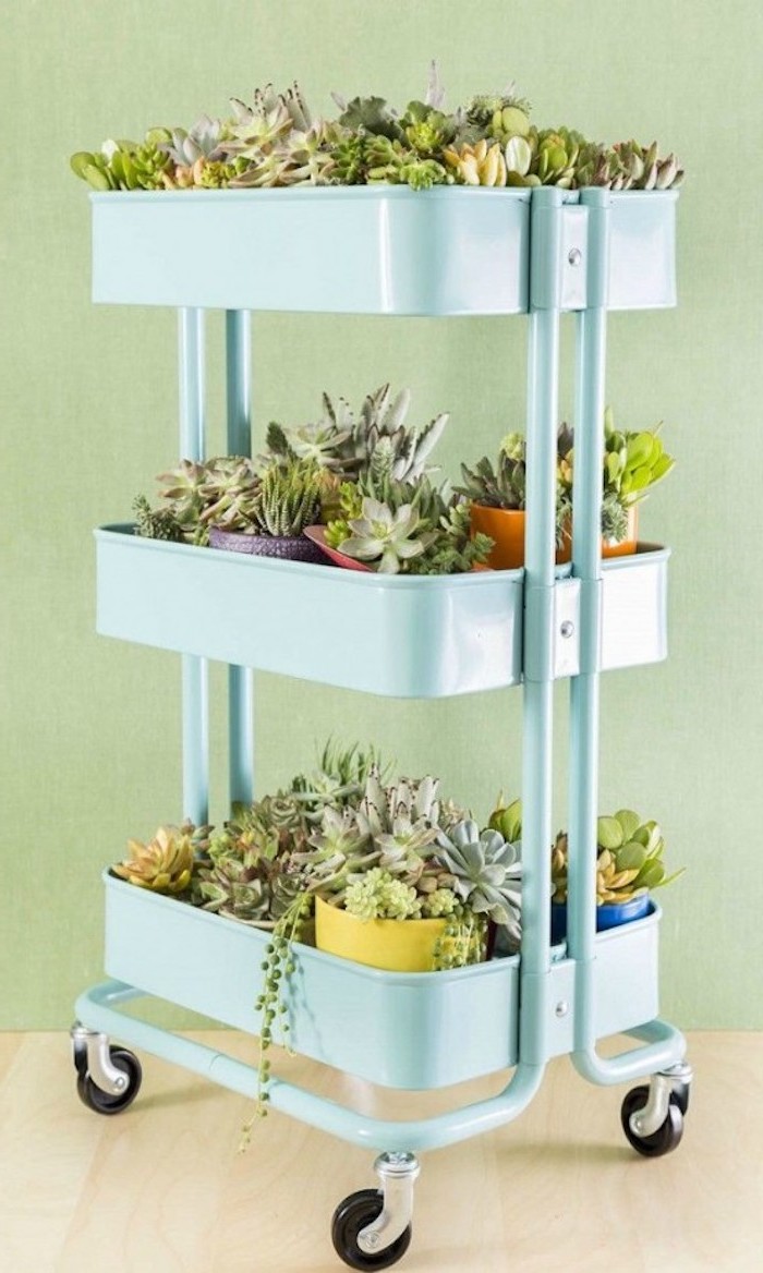 rangement pots de succulents sur les rayons d une etagere de couleur bleue, bidouille ikea range pot de fleurs