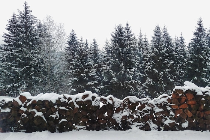 bois pour cheminée stocké en dehors et sapins enneigés, idée image d hiver classique 