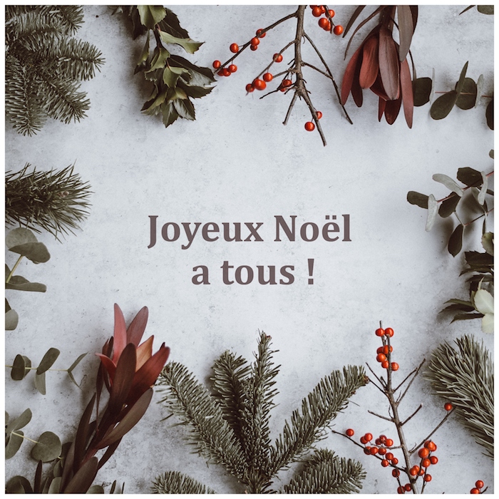 Joyeux Noël à tous, carte de voeux simple avec la neige et des branches d'arbre de noël, photo joyeux noel 2019