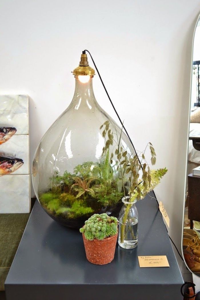 Terrarium de bonbonne dame jeanne, comment bien organiser son salon hippie chic, idée fabriquer un terrarium avec lampe pour les plantes