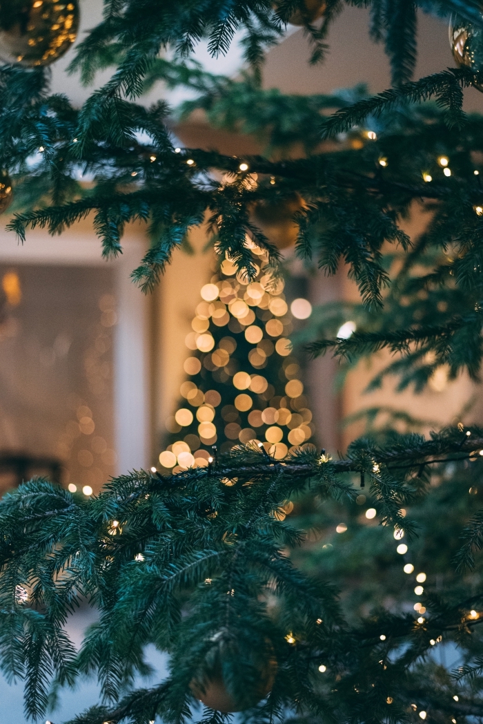 idée image joyeux noel 2019 pour wallpaper iphone, photographie fête de Noel avec branches de sapin et lumières