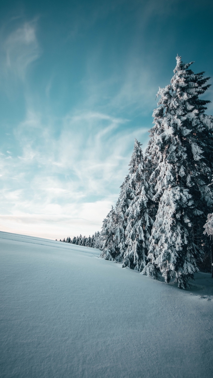 paysage enneigé pour wallpaper smartphone pour noël, photographie de la nature en hiver avec gros sapins enneigés