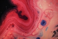 Acrylique pouring pour débutant – comment créer de jolies peintures fluides