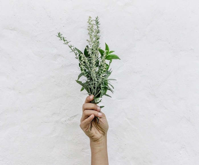 un bouquet d herbes, cultiver des aromatiques d interieur pour avoir des herbes sous la main