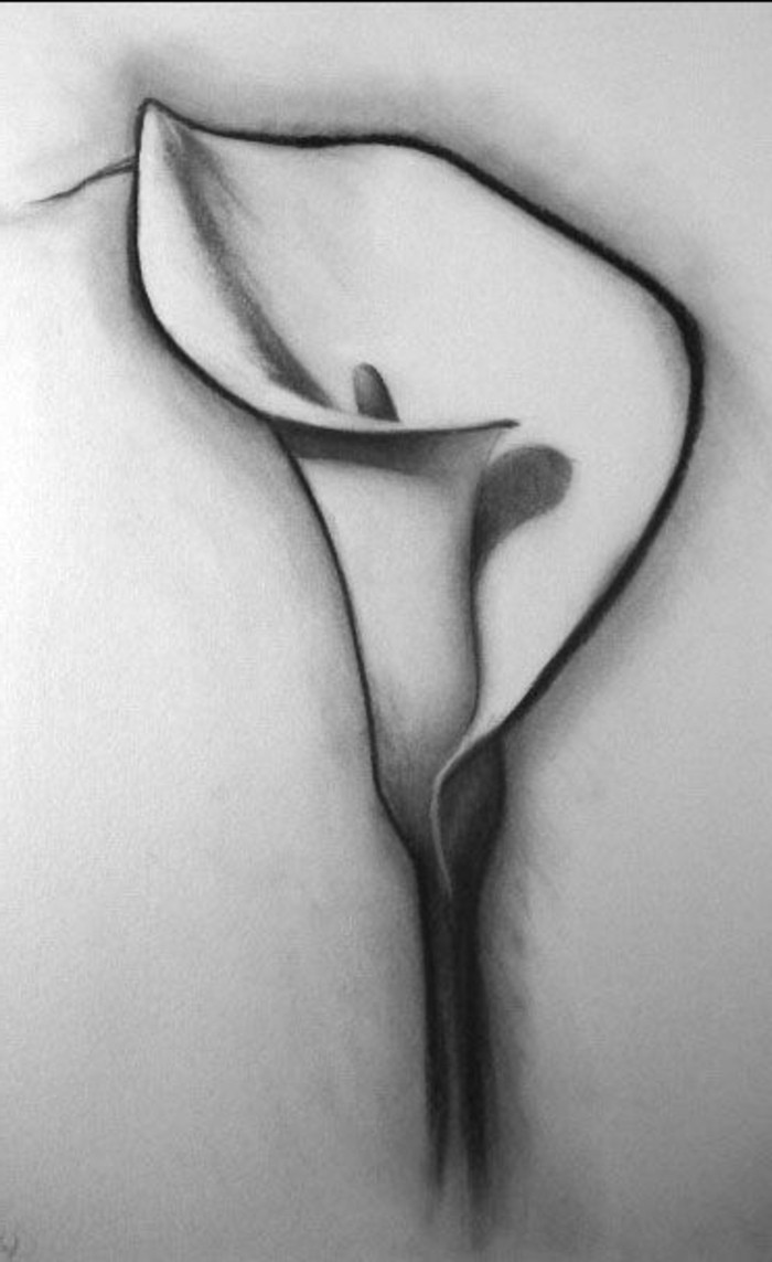 Dessin Crayon à Papier Facile Apprendre le dessin au crayon – créez vous-même de l'art