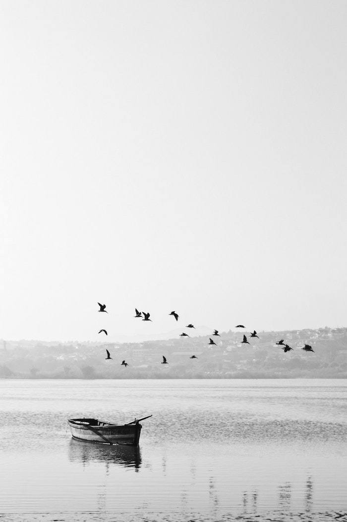 Photo noir et blanc de lac et petit bateau, oiseaux en vol, beau fond d'écran blanc, photo noir et blanc paysage