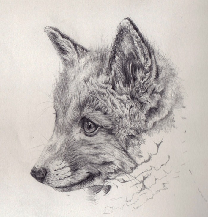 exemple de dessin au crayon facile à l'aide de techniques art au crayon, modèle de dessin animalier sur le thème renard