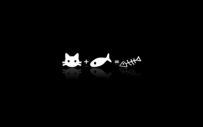 Fond d'écran swag chat et poisson, photo noir et blanc, symbolique des couleurs noir et blanc