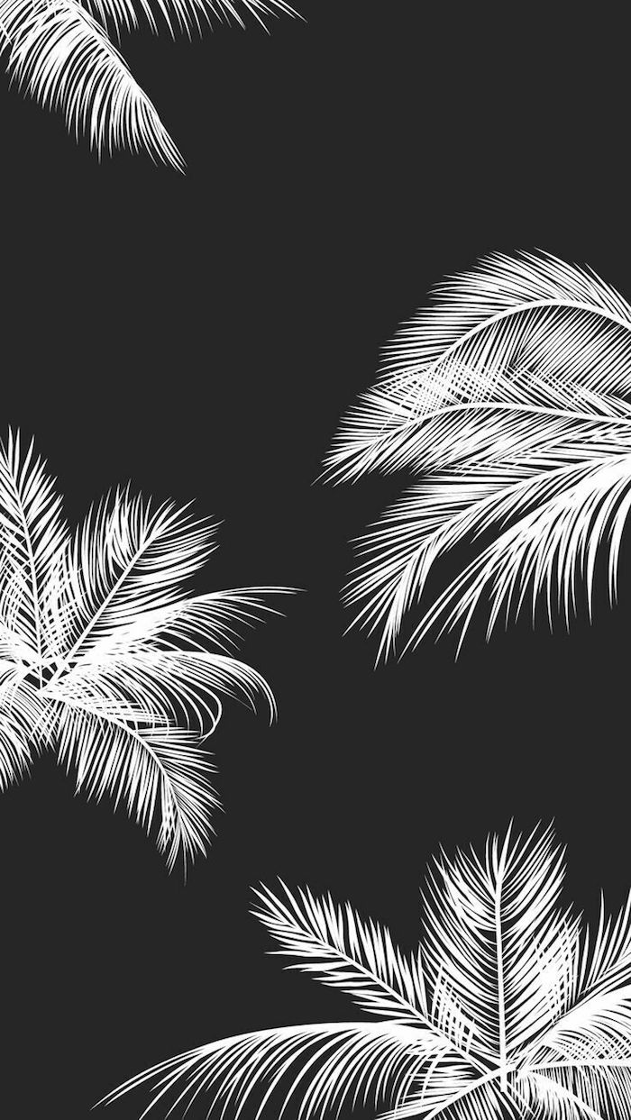 Art peinture monochrome, dessin noir et blanc graphique, fond d'écran iphone avec palmiers blanches sur fond noir