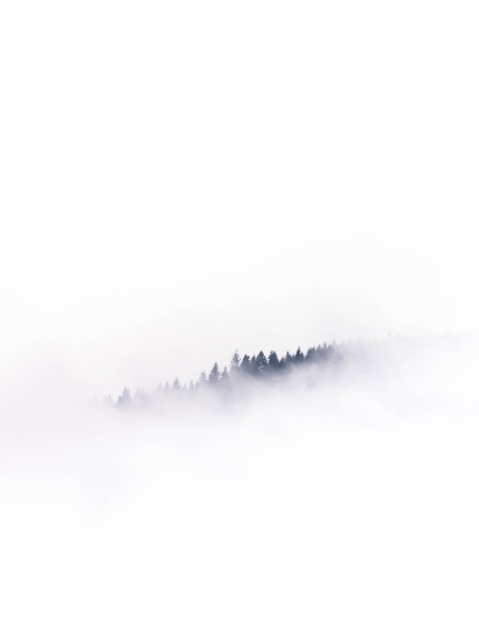 Foret dans le brouillard fond ecran blanc avec silhouettes des arbres noirs, portrait noir et blanc femme image originale