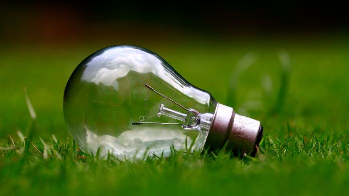 ampoule électrique sur pelouse verte 