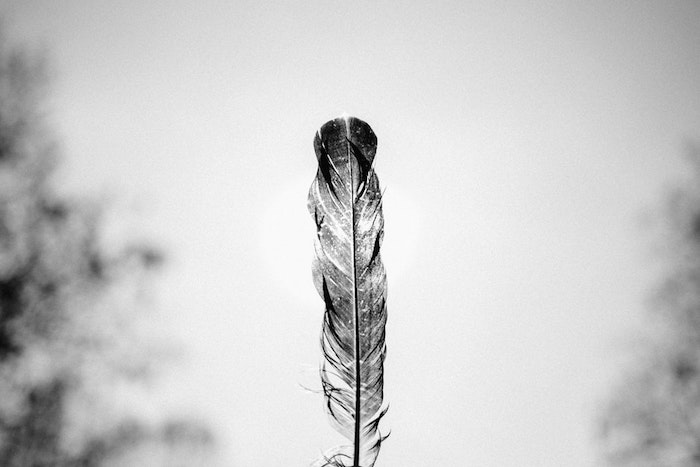 Plume fond ecran tumblr, image paysage en noir et blanc