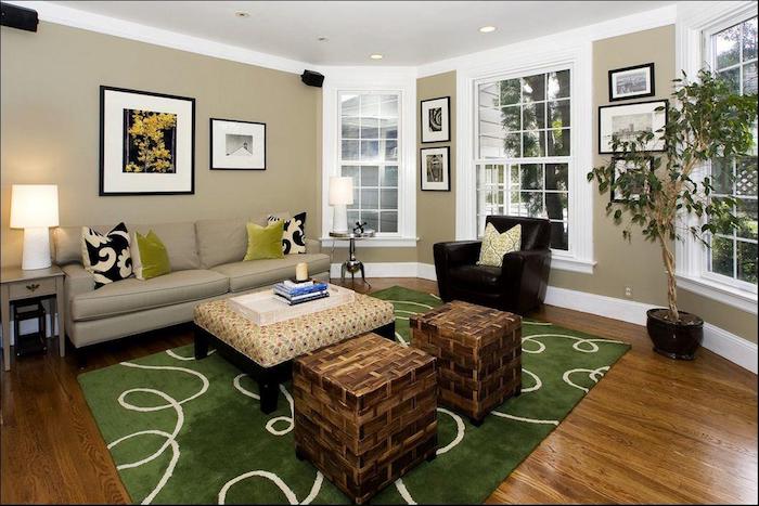 Tapis verte dans le salon taupe, couleur peinture chambre, quelle couleur pour une chambre stylée