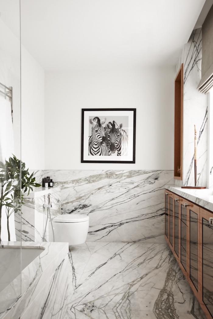 Blanc et noir peinture sur le mur de zebres, idée simple déco salle de bain stylée, aménagement petite salle de bain, douche italienne marbre