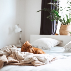 98 idées de déco de lit cozy et moderne pour sublimer sa chambre à coucher