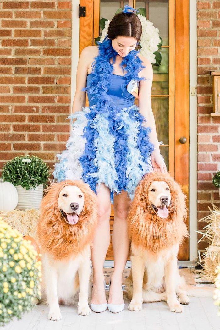 Se déguiser comme un oiseau bleu, diy robe avec plumes, chiens avec crinière artificiel pour se déguiser comme lions, deguisement de groupe, deguisement carnaval