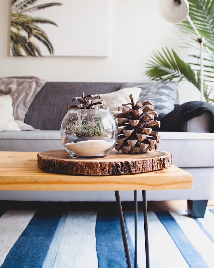 Table basse salon en bois, décoration d'hiver adorable avec cones de pin géantes, tapis blanc et bleu, peinture sur le mur