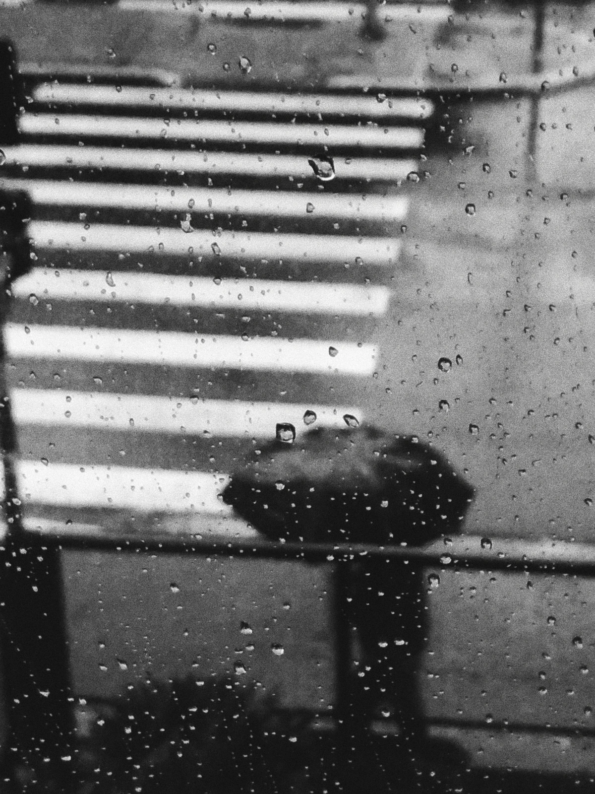 pluie rue parapluie gouttes d eau fenetre passage pieton wallpaper black
