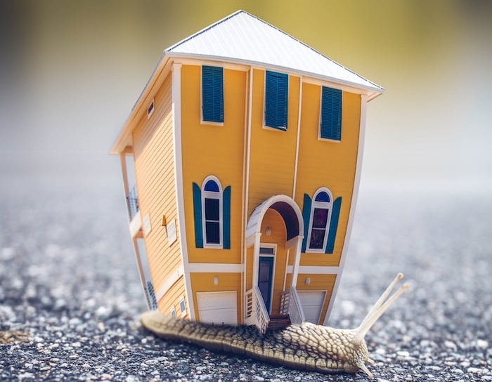 petite maison sur le dos d une limaçon, pourquoi placer son argent dans investissement locatif, avantages investir dans immobilier 