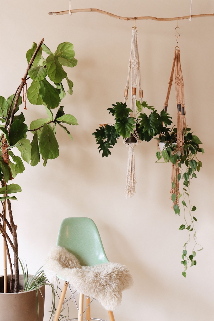 design intérieur moderne de style bohème chic avec plantes vertes, modèles de pot de fleur suspendu sur bois flotté