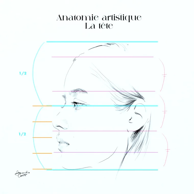 comment dessiner un visage de femme profil