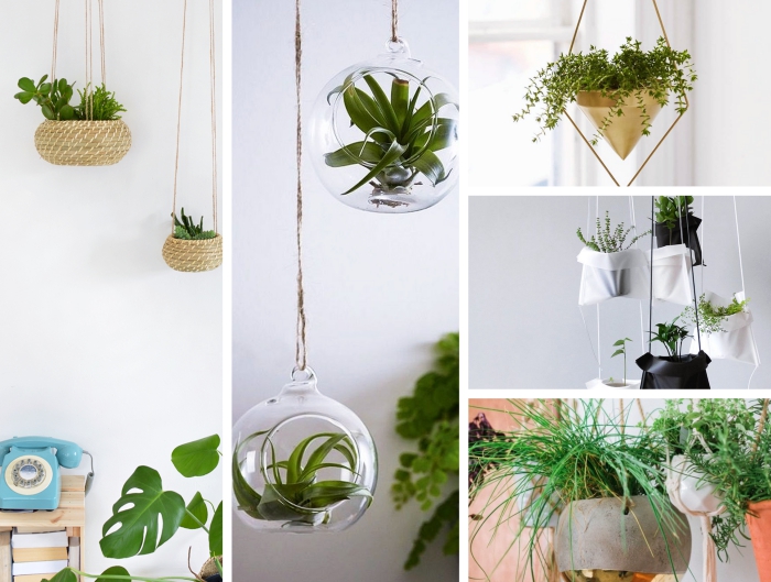 idées de contenants pour plantes suspendues, diy terrarium facile en verre et ficelle, suspension moderne en métal