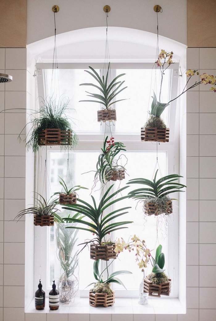 comment arranger ses plantes façon rideaux avec corde et pot suspendu, modèles de cache-pot à design bois foncé