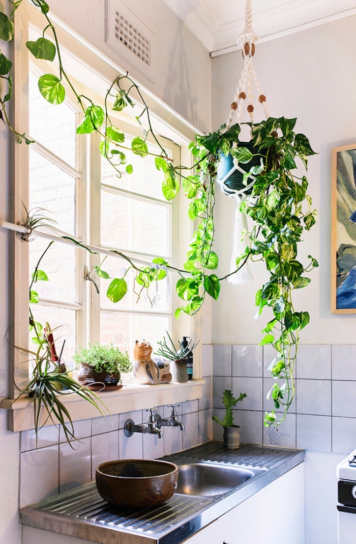 comment décorer une cuisine avec plantes vertes, diy macramé suspension pour espace limité aménagé d'esprit bohème