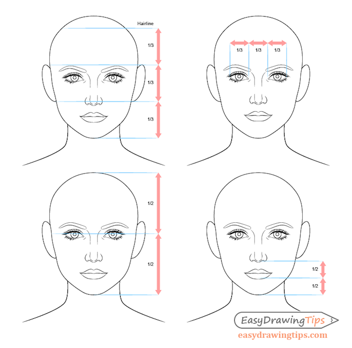 comment dessiner un visage, les bonnes proportions de visage à dessiner, espacement entre des yeux, bouche et nez
