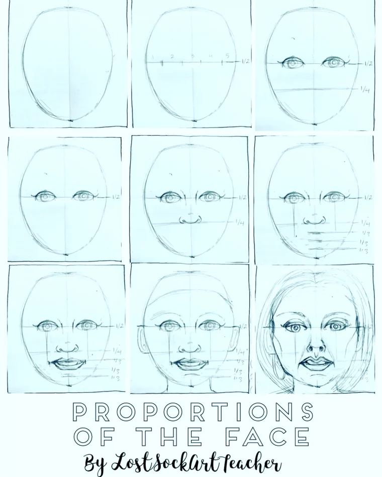 dessin des proportions du visage