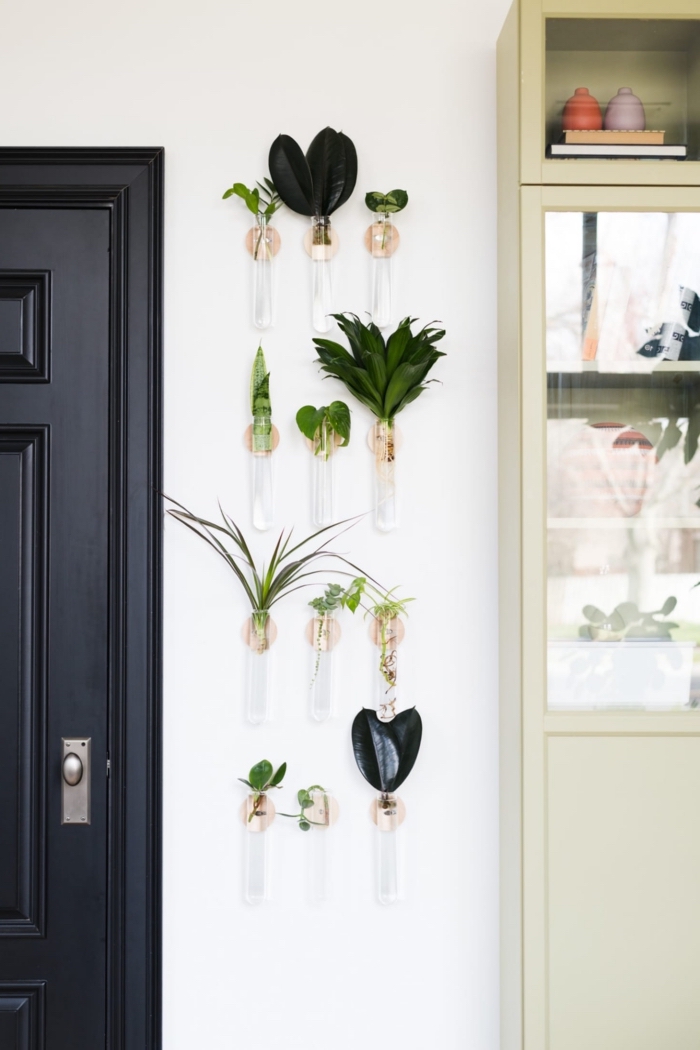 comment décorer son intérieur avec plantes vertes sur les murs, idée de pot suspendu au mur dans contenant en verre