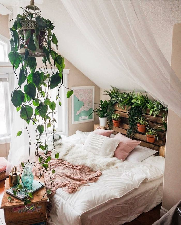 Plante grimpante suspendu, verte plante interieur dépolluante, plante dans une chambre bien décorée