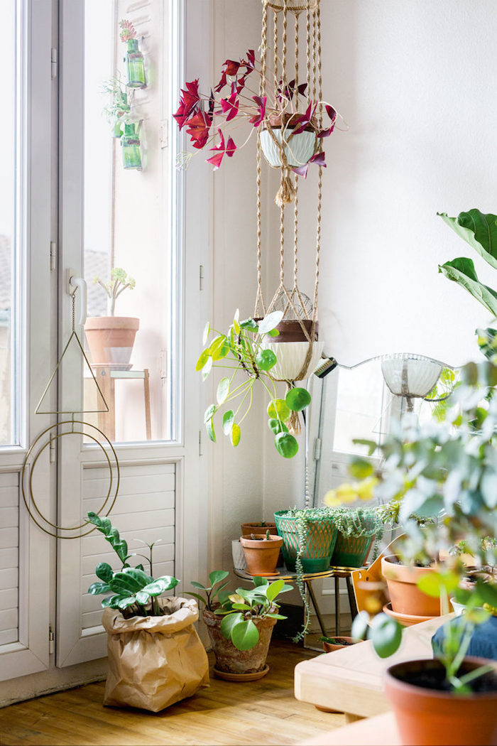 Plantes tombantes, petite plante verte, porte fenetre, chambre boheme chic, plante pour chambre style bohème